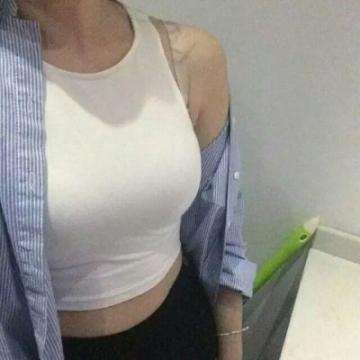 宠物骑士游戏下载