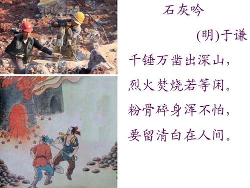 从零开始的大冒险无限钻石版下载